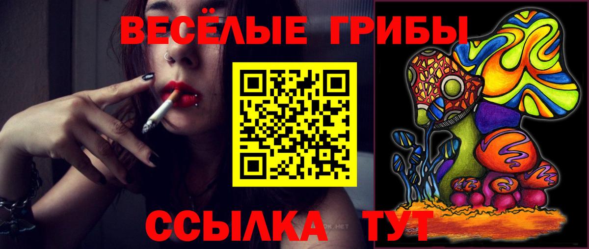 Галлюциногенные грибы Psilocybine cubensis Воскресенск
