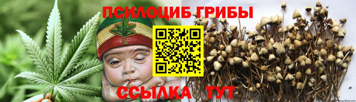 Воскресенск  магазин  наркотиков  Вход с VPN  Псилоцибиновые грибы ЛСД  Галлюциногенные грибы Psilocybe 